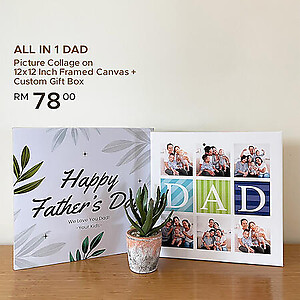 All In 1 Dad