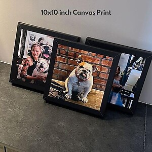 10x10inch (25x25cm) Canvas Print