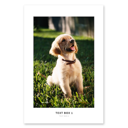 The Photo Poster Print