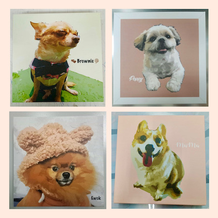 All About Pets