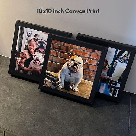 10x10inch (25x25cm) Canvas Print