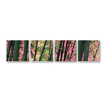 Split Canvas Print - 3pcs 16